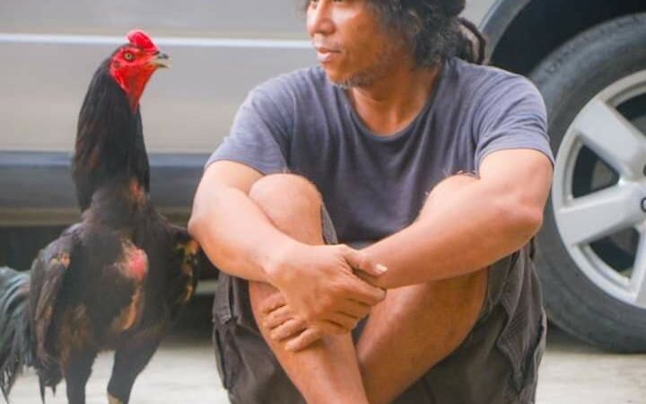 Hikayat Paox Iben & Ayam Jago Idolanya