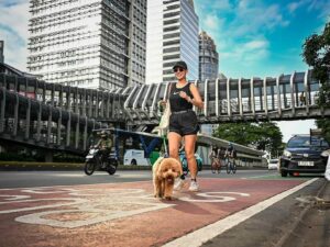 Indah S, Jangan Menyerah Sebelum Kita Berusaha!