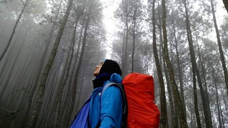 Intan Noor Rahma Sari, Wanita Tetaplah Berkegiatan, Tetaplah Bermanfaat, Tetaplah Mandiri Finansial!