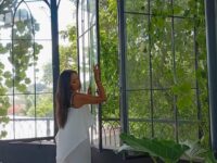 Mariana Pawluczuk, In Pole Dance, No One Cares About Your Body Shape