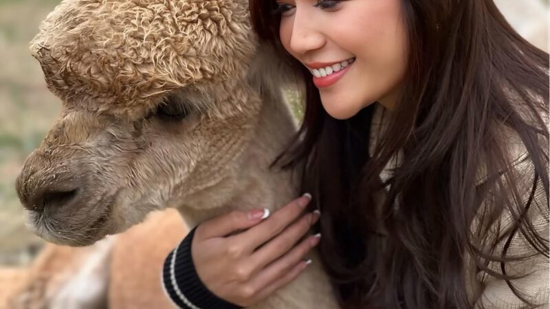 Cyndyana Lorens, If You Really Want It, You Can Get It !