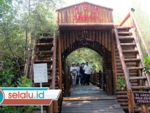 Kunjungan Tembus 86 Ribu, Kebun Raya Mangrove Sumbang PAD Terbesar DKPP