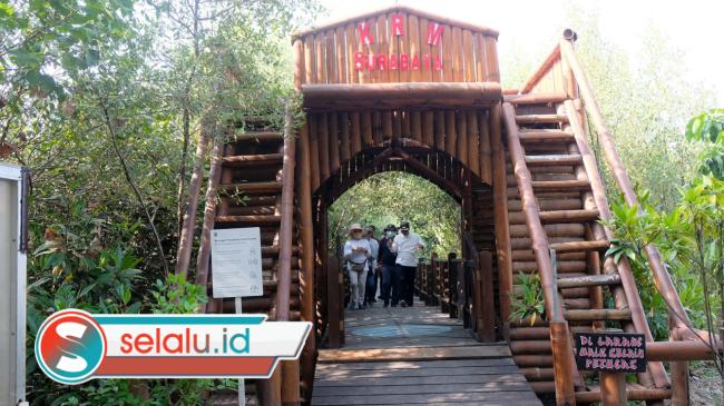 Kunjungan Tembus 86 Ribu, Kebun Raya Mangrove Sumbang PAD Terbesar DKPP