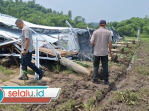Kandang Ayam Ambruk Tersapu Angin Kencang di Mojokerto, Rugi Rp200 Juta