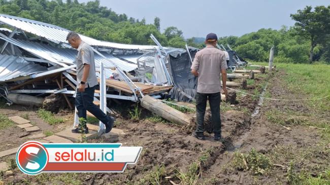 Kandang Ayam Ambruk Tersapu Angin Kencang di Mojokerto, Rugi Rp200 Juta