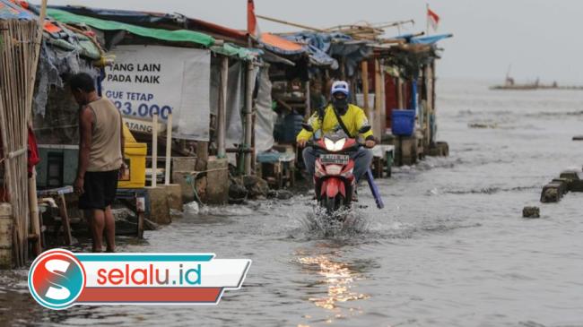 Ali Yusa: Mitigasi Rob Surabaya Perlu Paradigma Hidup Bersama Air