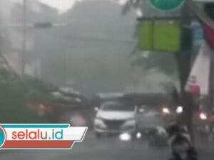 Pohon Tumbang Timpa Mobil Saat Hujan Deras di Sidoarjo