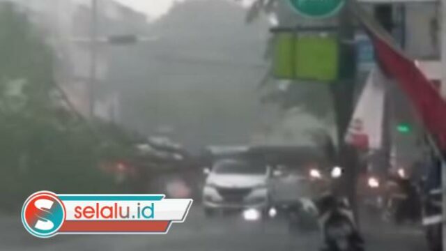 Pohon Tumbang di Sidoarjo, Timpa Mobil Saat Hujan Deras