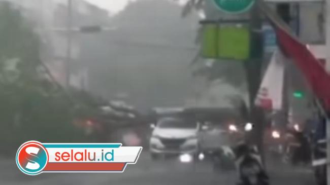 Pohon Tumbang Timpa Mobil Saat Hujan Deras di Sidoarjo