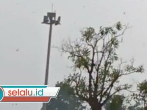 Angin Kencang dan Pohon Tumbang di Bandara Juanda, Tiga Penerbangan Dialihkan