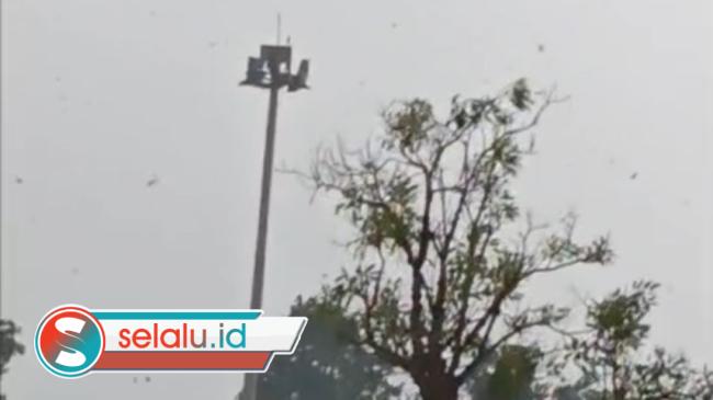 Angin Kencang dan Pohon Tumbang di Bandara Juanda, Tiga Penerbangan Dialihkan