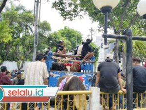 Bawa Sapi ke DPRD, Jagal RPH Pegirian Tolak Relokasi ke TOW