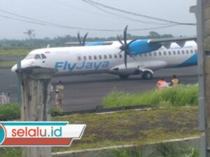 Penerbangan Fly Jaya Aktif Lagi di Jember, Okupansi Capai 100 Persen