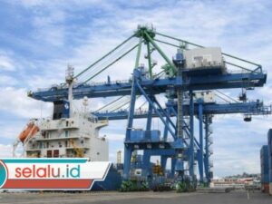 Arus Peti Kemas 2025 Meningkat, Terminal Peti Kemas Ambon Optimalkan Layanan Logistik Kawasan Timur