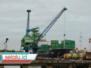 Transformasi Operasional Dorong Pertumbuhan Arus Peti Kemas di TPK Merauke