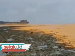 Kapal Tongkang Kandas di Periaran Gili Iyang Sumenep, Minyak Tumpah Cemari Laut