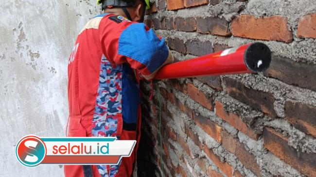 Damkar Beraksi Lagi, Kali Ini Evakuasi Kucing Terjepit di Antara Rumah Warga