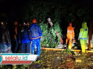 Angin Kencang di Mojokerto Rusak 4 Rumah dan Tumbangkan Pohon Bikin Macet