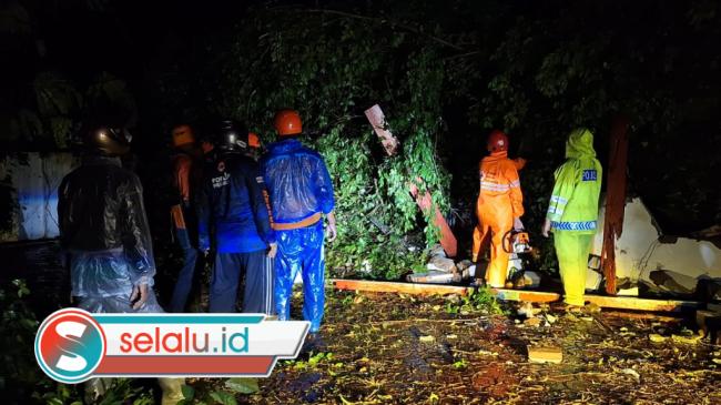 Angin Kencang di Mojokerto Rusak 4 Rumah dan Tumbangkan Pohon Bikin Macet