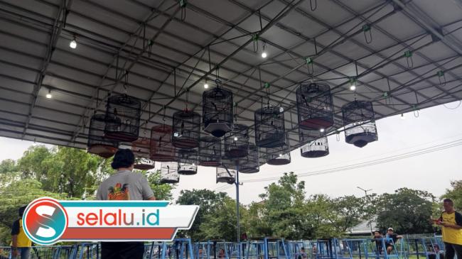Ngabuburit Ala Kicaumania Saat Weekend jadi Alternatif Penghobi Burung di Surabaya