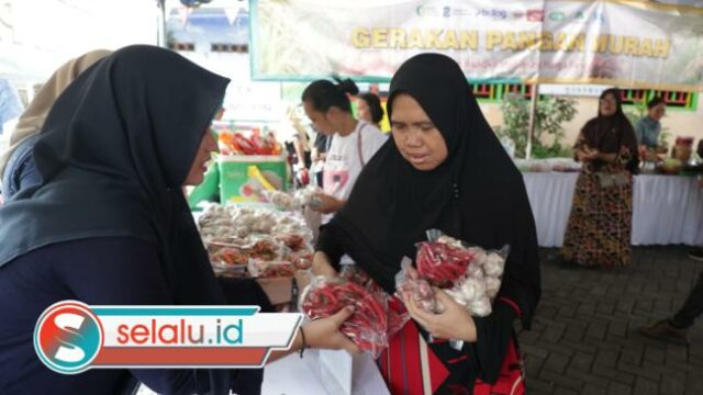Harga Cabai di GPM Surabaya Turun hingga 50 Persen Jelang Ramadan