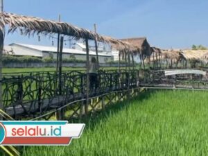 Sate 'Nggarai Tangi' di Pinggiran Sawah Mojokerto, Begini Khasiatnya untuk Pria Dewasa