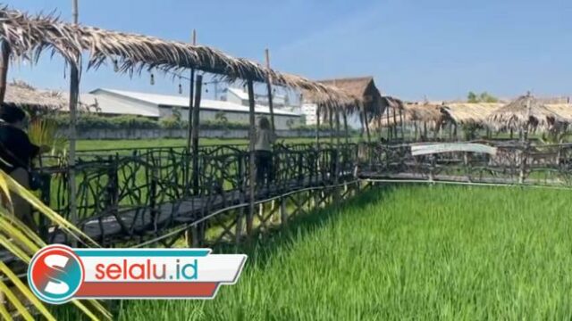 Sate 'Nggarai Tangi' di Pinggiran Sawah Mojokerto, Begini Khasiatnya untuk Pria Dewasa