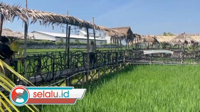 Sate 'Nggarai Tangi' di Pinggiran Sawah Mojokerto, Begini Khasiatnya untuk Pria Dewasa
