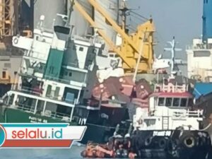 Kapal Pacific 88 Kecelakaan di Tanjung Perak Surabaya: Kontainer Berjatuhan ke Laut, 1 TKBM Hilang