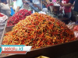 Harga Cabai di Surabaya Hari Ini Turun Drastis, Harga Ayam Masih Tinggi