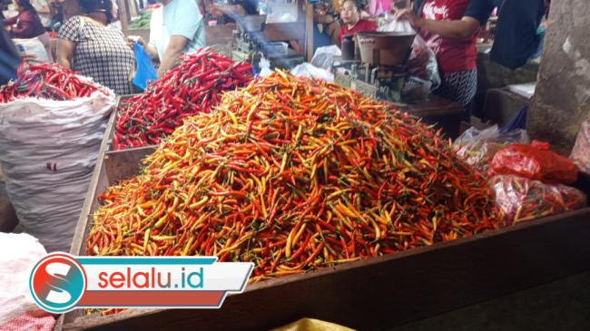 Harga Cabai di Surabaya Hari Ini Turun Drastis, Harga Ayam Masih Tinggi
