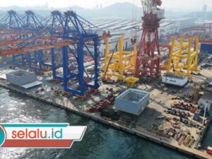 Pacu Arus Peti Kemas, Pelindo Optimis Ekspor Indonesia Menguat di 2026