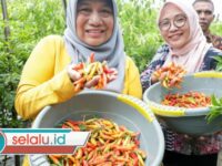 Strategi Pemkot Surabaya Jaga Stabilitas Harga Pangan Jelang Ramadan