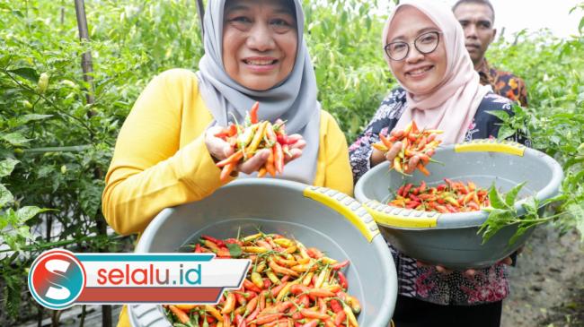Strategi Pemkot Surabaya Jaga Stabilitas Harga Pangan Jelang Ramadan