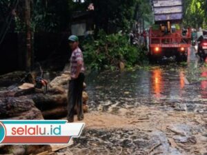 Hujan Disertai Angin di Surabaya Juga Tumbangkan 30 Pohon