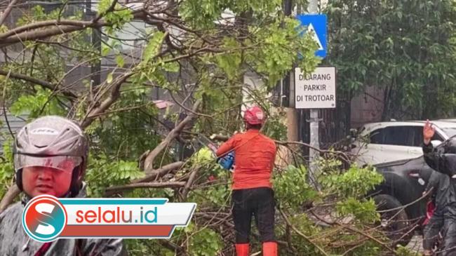 Hujan Angin Terjang Surabaya, 9 Pohon Tumbang