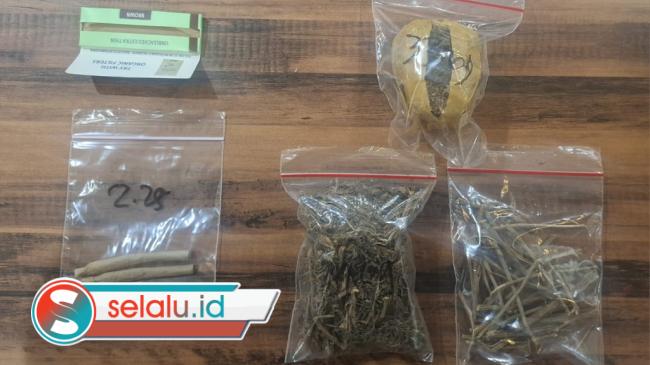 Sepi Klien, Pengacara di Surabaya Edarkan Ganja: Ini Barang Bukti dan Identitasnya