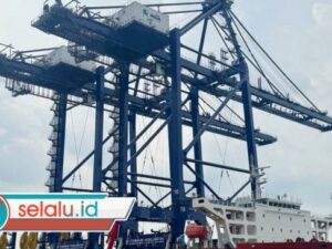 Tingkatkan Layanan Terminal Peti Kemas, Pelindo Datangkan Alat Bongkar Muat Baru