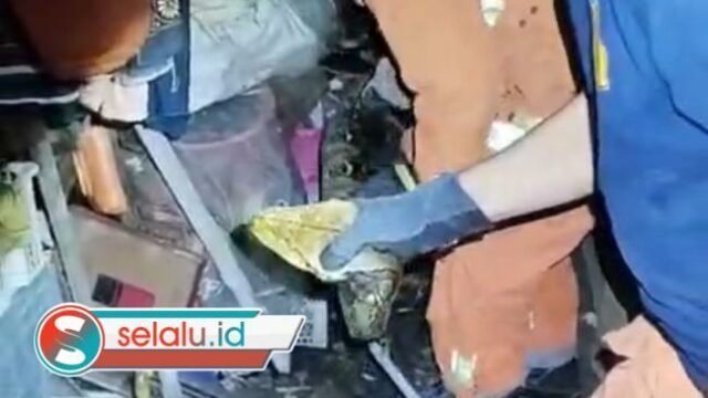 Ular Piton 5 Meter Gegerkan Warga Tandes Surabaya