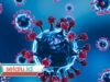 Waspada! Peneliti Temukan Virus Baru, Risikonya Mengerikan