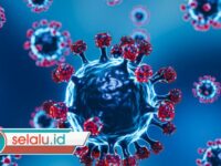 Waspada! Peneliti Temukan Virus Baru, Risikonya Mengerikan