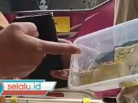 Viral, Lele Mentah Ditemukan pada Menu MBG di Pademawu Pamekasan 