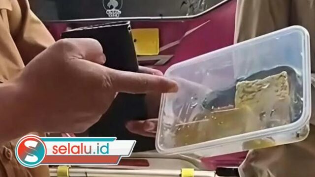 Viral, Lele Mentah Ditemukan pada Menu MBG di Pademawu Pamekasan 