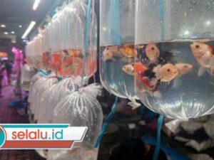 Pasar Ikan Gunungsari Surabaya Ramai di Bulan Ramadhan, Omzet Pedagang Naik Signifikan