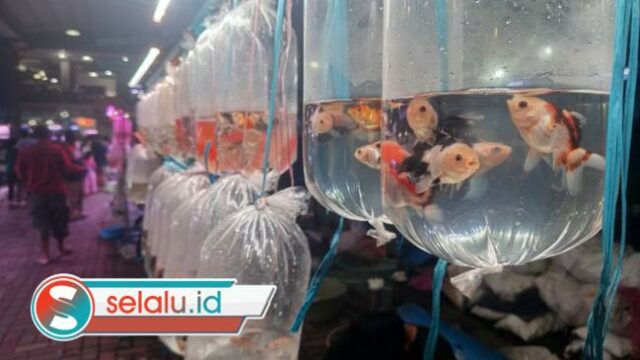 Pasar Ikan Gunungsari Surabaya Ramai di Bulan Ramadhan, Omzet Pedagang Naik Signifikan