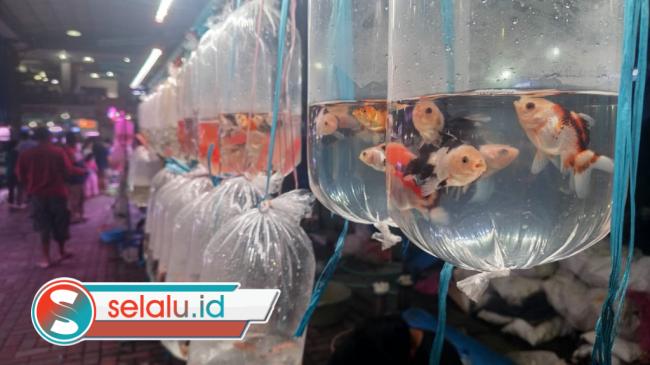 Pasar Ikan Gunungsari Surabaya Ramai di Bulan Ramadhan, Omzet Pedagang Naik Signifikan