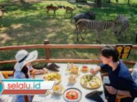 Wisata Solo Populer 2026: Aksesnya Mudah, Murah dan Asyik Buat Nongkrong