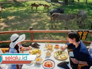 Wisata Solo Populer 2026: Aksesnya Mudah, Murah dan Asyik Buat Nongkrong