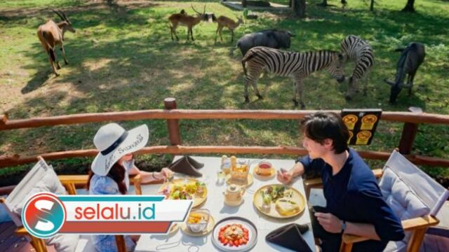 Wisata Solo Populer 2026: Aksesnya Mudah, Murah dan Asyik Buat Nongkrong