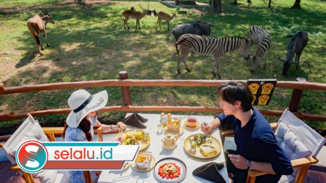 Wisata Solo Populer 2026: Aksesnya Mudah, Murah dan Asyik Buat Nongkrong